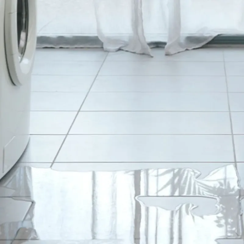 Appliance Leak Cleanup in Union County, AR