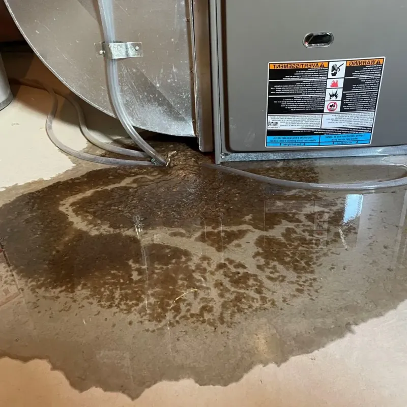 Pipe Burst and Leak Restoration in Union County, AR